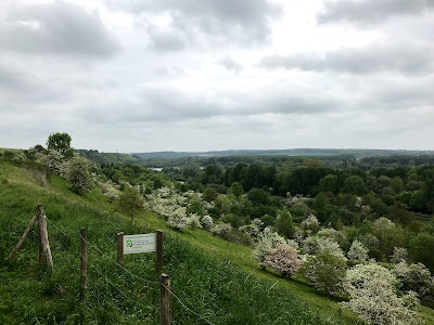 Belvédère d'Hangest-sur-Somme à Hangest-sur-Somme