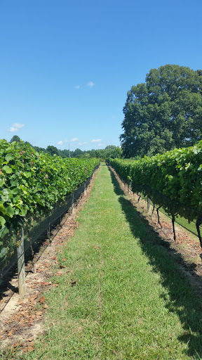 Winery «Good Luck Cellars», reviews and photos, 1025 Goodluck Rd, Kilmarnock, VA 22482, USA