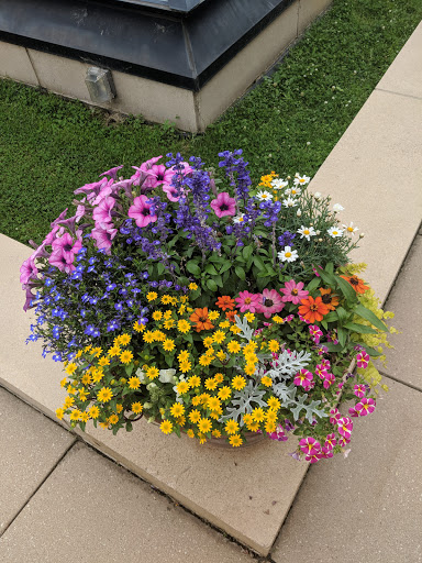 Museum «The Bakken Museum», reviews and photos, 3537 Zenith Ave S, Minneapolis, MN 55416, USA