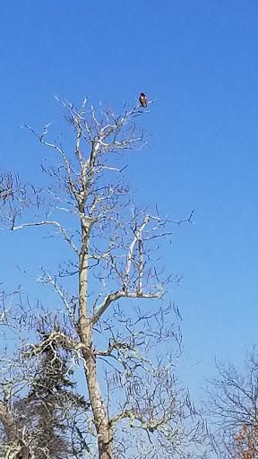 Park «Webb Park», reviews and photos, 58 Summit St, Weymouth, MA 02188, USA