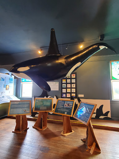 Museum «The Whale Museum», reviews and photos, 62 1st St, Friday Harbor, WA 98250, USA