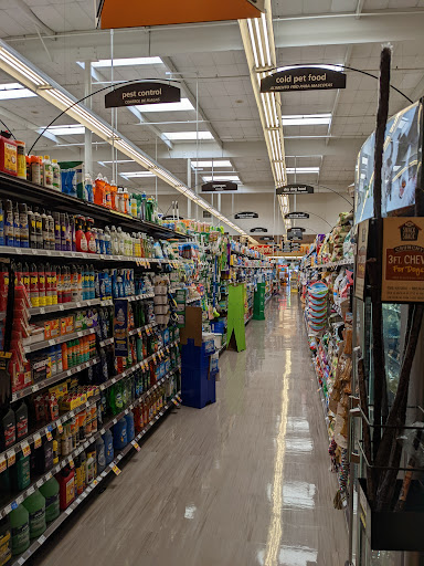 Grocery Store «Ralphs», reviews and photos, 1416 E Colorado St, Glendale, CA 91205, USA