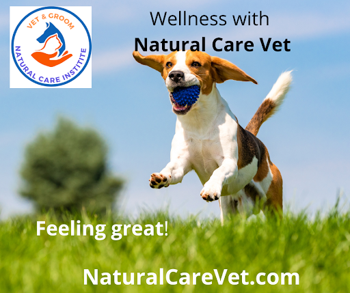 Integrative Veterinary Hospital, LLC image