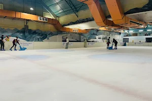 Panari Ice Skating Rink image