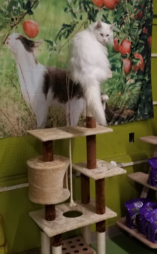 Pet Supply Store «Animal Krackers Inc», reviews and photos, 232 Main St, Gloucester, MA 01930, USA