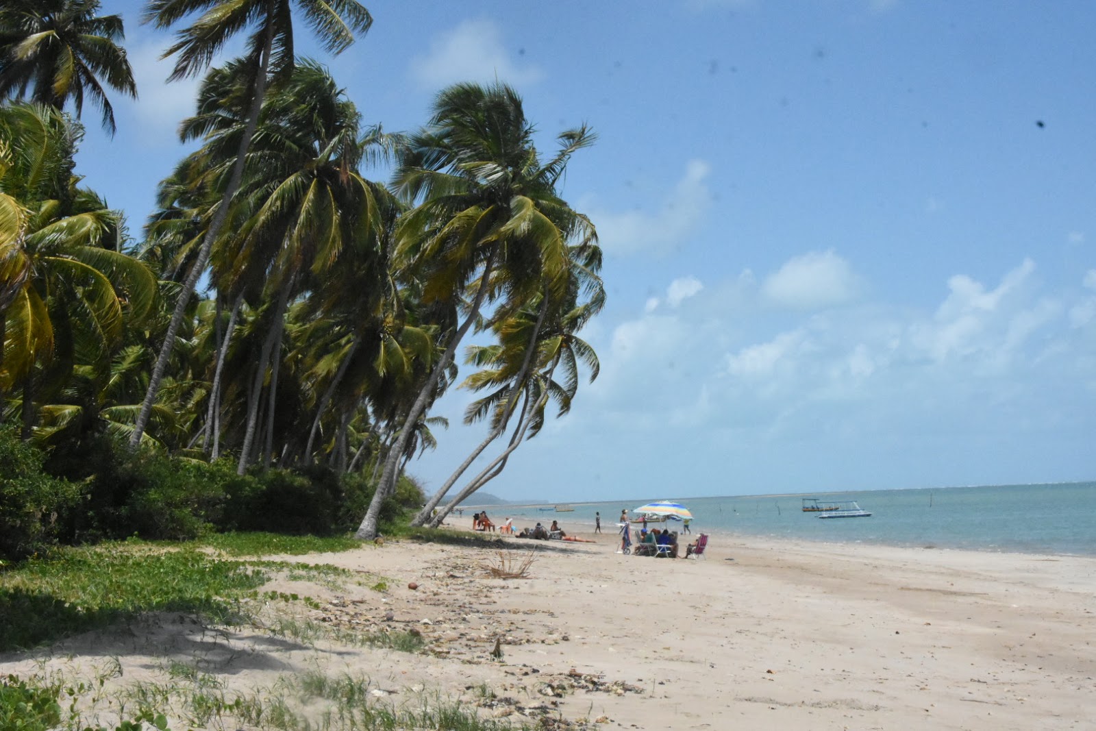 Photo de Praia do Patacho - bon endroit convivial pour les animaux de compagnie pour les vacances