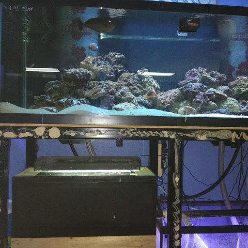 Aquarium «Aquarium Fish & Supply», reviews and photos, 1702 S Kelly Ave, Edmond, OK 73013, USA