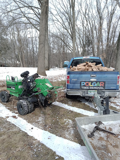 Tree Service «Polgar Tree Service & Removal LLC», reviews and photos