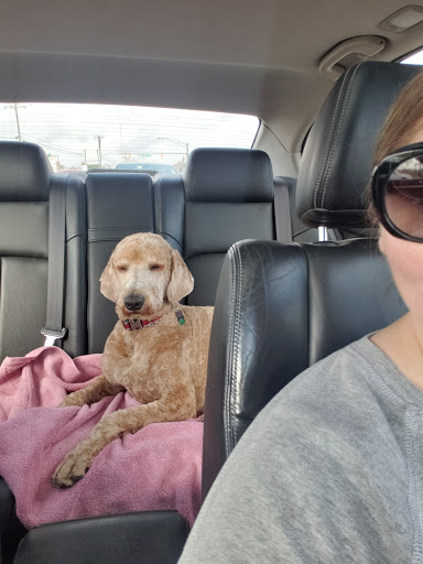 Pet Supply Store «Petco Animal Supplies», reviews and photos, 15622 Old Columbia Pike, Burtonsville, MD 20866, USA