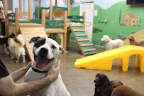 The Zuri Pet Spa - Photo 2 - Car repair in San Juan Capistrano, CA, Mission Viejo