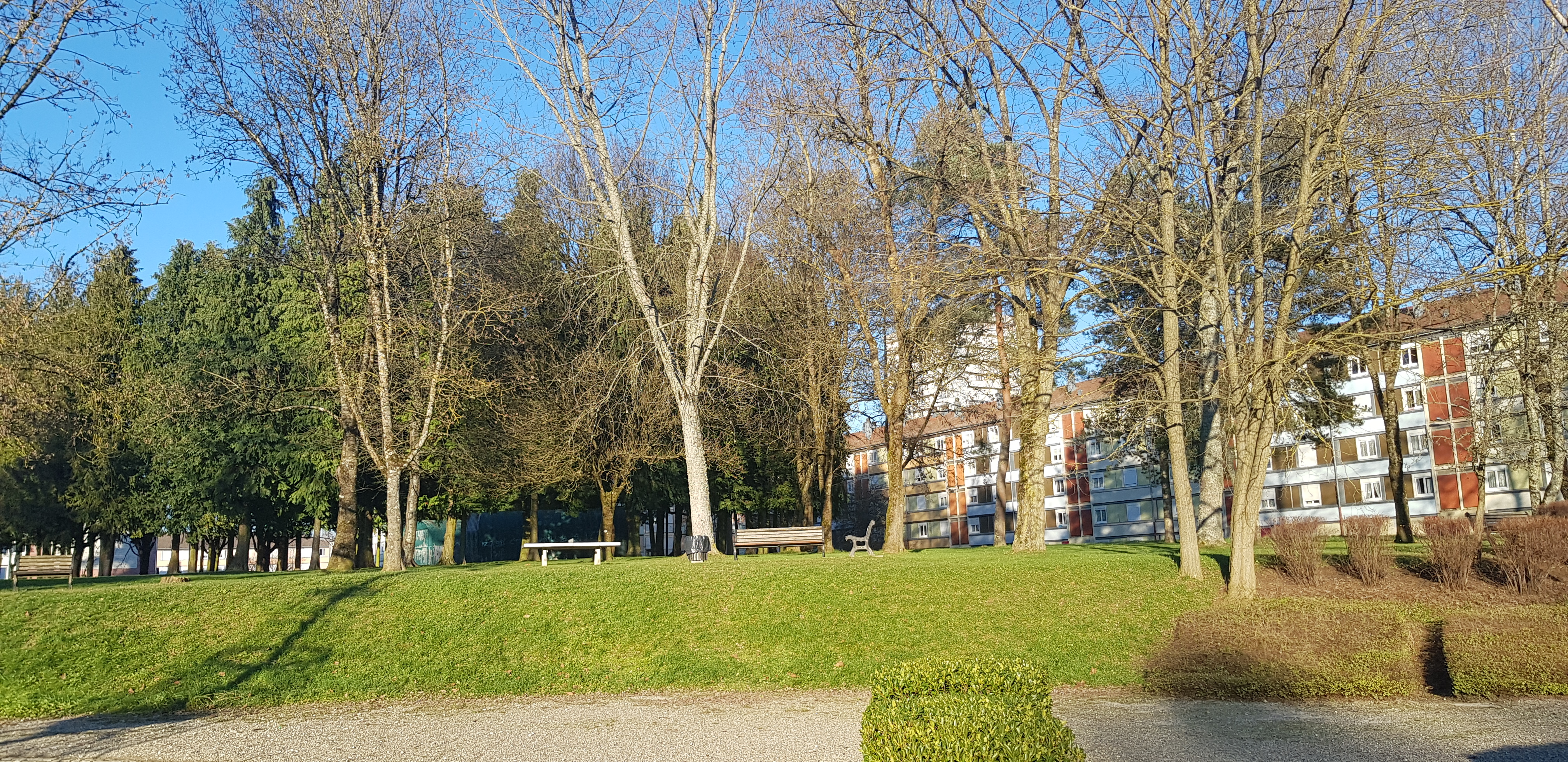 Photo n° 21 de l'avis de R.a fait le 30/12/2019 à 14:49