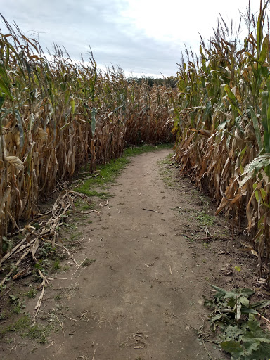 Produce Market «Kroul Farms», reviews and photos, 245 IA-1, Mt Vernon, IA 52314, USA