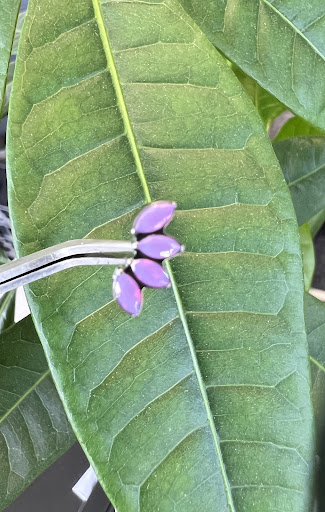 Explore barbell tattoo ideas, creative tattoo ideas in Milwaukee, available at Beauty is Pain Tattoo and Body Piercings