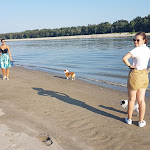 Photo n°3 de l'avis de Marino.a fait le 23/08/2019 à 20:57 sur le  Ristorante Le Terrazze sul Po à Scorzarolo