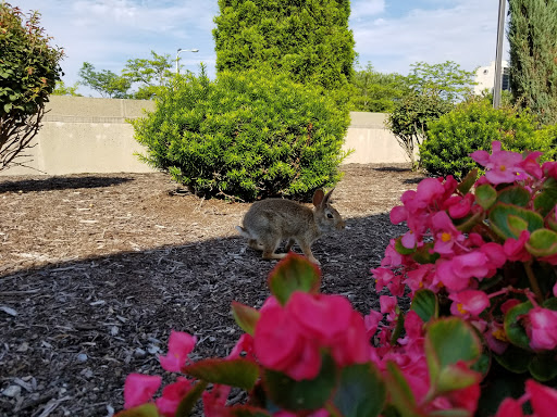 Museum «The Rock and Roll Hall of Fame and Museum», reviews and photos, 1100 E 9th St, Cleveland, OH 44114, USA