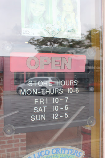 Toy Store «Genuine Toy Co.», reviews and photos, 550 Forest Ave Suite 8, Plymouth, MI 48170, USA