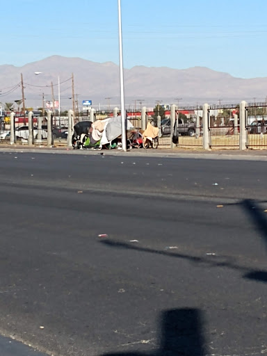 Social Services Organization «Catholic Charities of Southern Nevada», reviews and photos