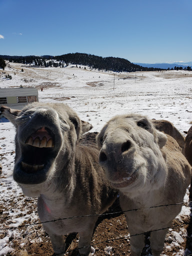 Grocery Store «Cripple Creek Venture Foods», reviews and photos, 1075 Co Rd 1, Cripple Creek, CO 80813, USA