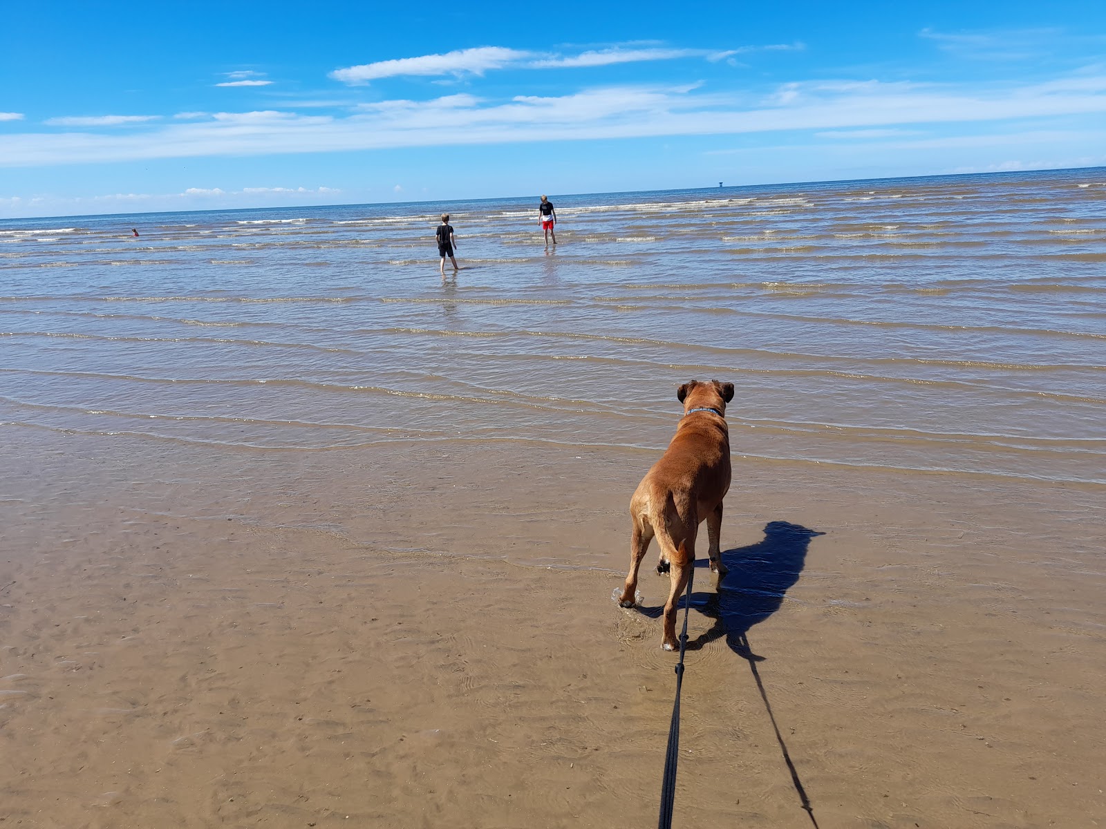 Fotografie cu Plaja Ainsdale - loc de vacanță prietenos pentru animale de companie