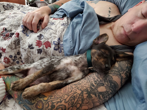 Pet Supply Store «Pets Plus - Bensalem», reviews and photos, 1336 Bristol Pike, Bensalem, PA 19020, USA