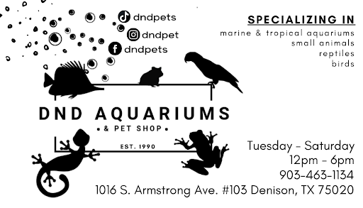 Tropical Fish Store «D-N-D Aquariums & Pet Shop», reviews and photos, 1016 S Armstrong Ave # 103, Denison, TX 75020, USA