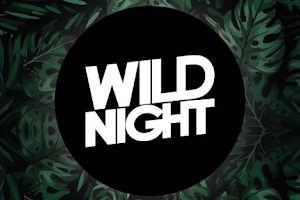 Wild Night Itagüi image