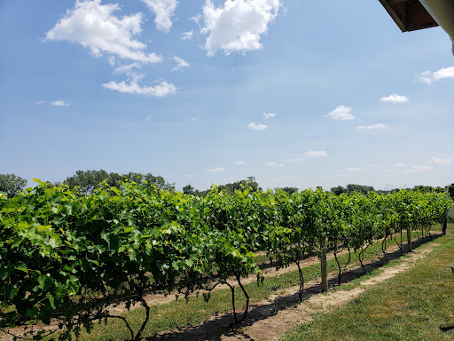 Vineyard «3 North Vines», reviews and photos, 5940 Peck Rd, Croswell, MI 48422, USA