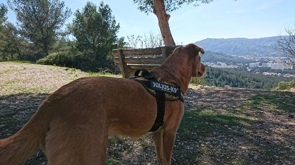 Photo n° 3 de l'avis de Emeline.a fait le 29/03/2017 à 14:28