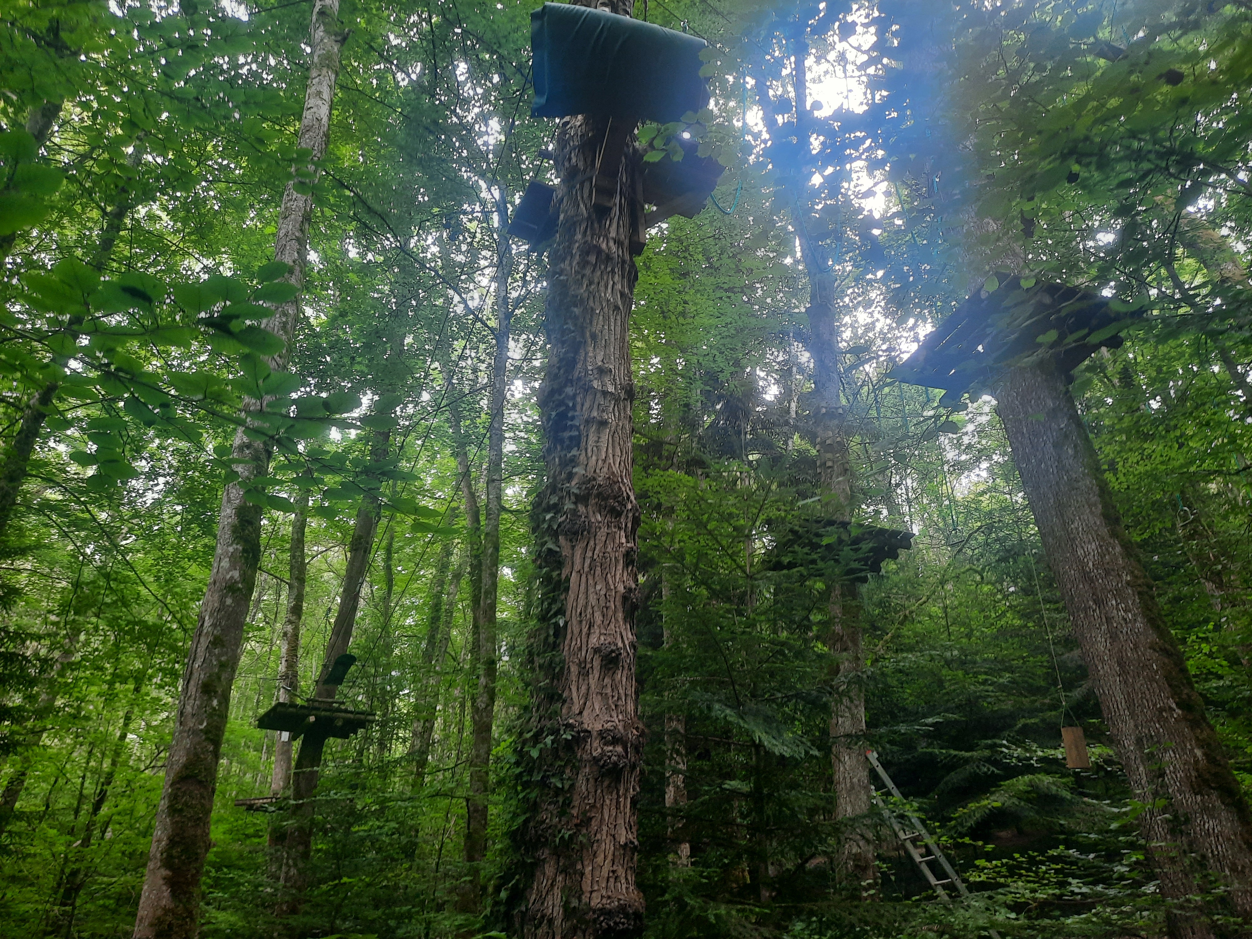 Photo n° 30 de l'avis de DIMA.A fait le 15/08/2021 à 16:23