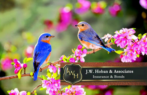 Insurance Agency «J W Hoban & Associates», reviews and photos