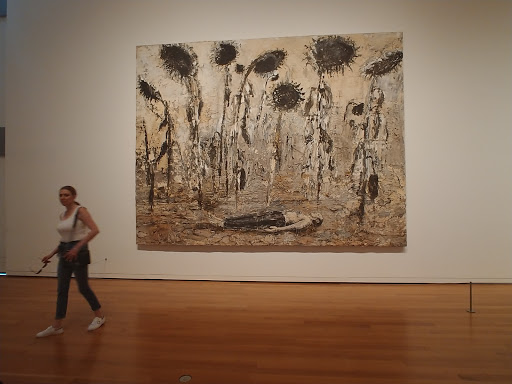 Art Gallery «SAM Gallery», reviews and photos, 1300 1st Ave, Seattle, WA 98101, USA