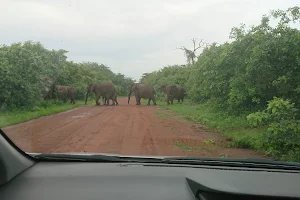 Akagera National Park North Gate (Exit Only) image