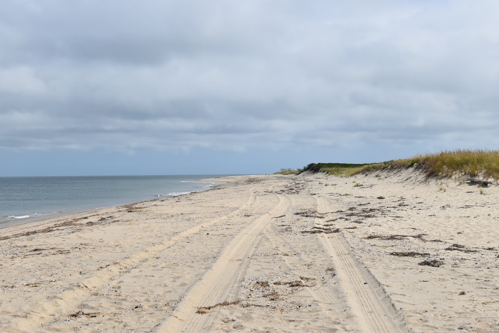 Great Point Beach photo #7