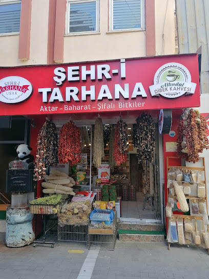 Şehri Tarhana, Uşak Tarhanası