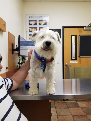 Pet Supply Store «PetSmart», reviews and photos, 367 Mt Hope Ave, Rockaway, NJ 07866, USA