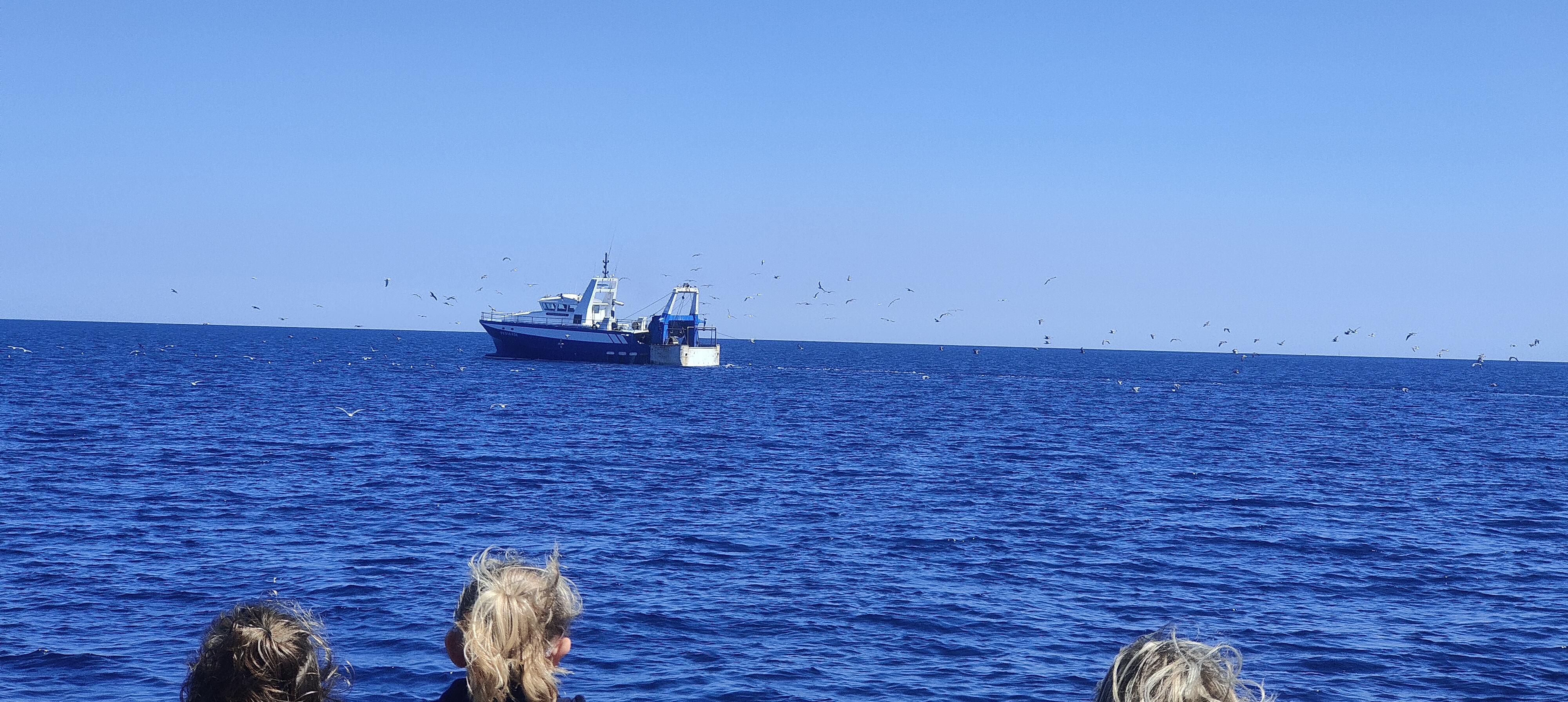 Photo n° 1 de l'avis de Tarek.a fait le 09/08/2023 à 07:08