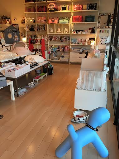 Pet Supply Store «Woof Woof Puppies & Boutique», reviews and photos, 29555 Northwestern Hwy, Southfield, MI 48034, USA