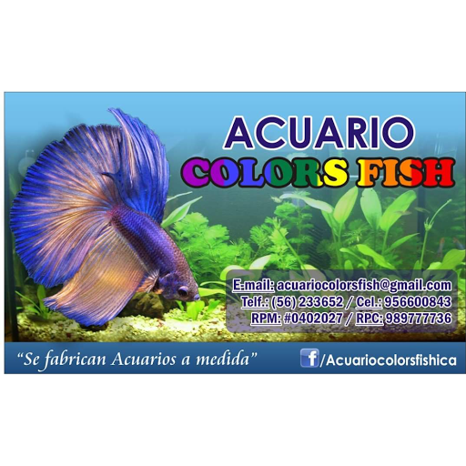 ACUARIO COLORS FISH