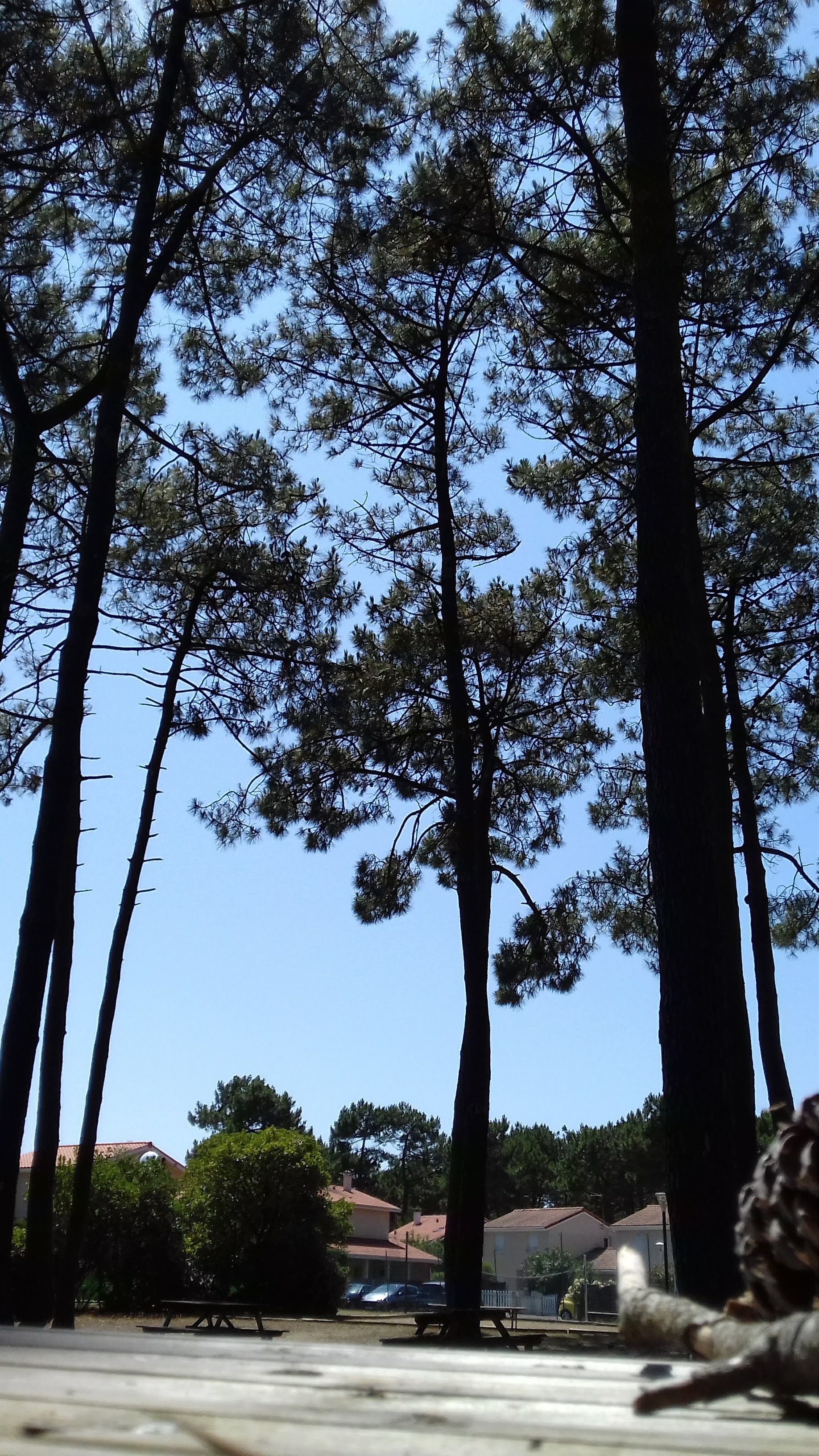 Photo n° 5 de l'avis de cannibalex1. fait le 19/07/2019 à 05:31