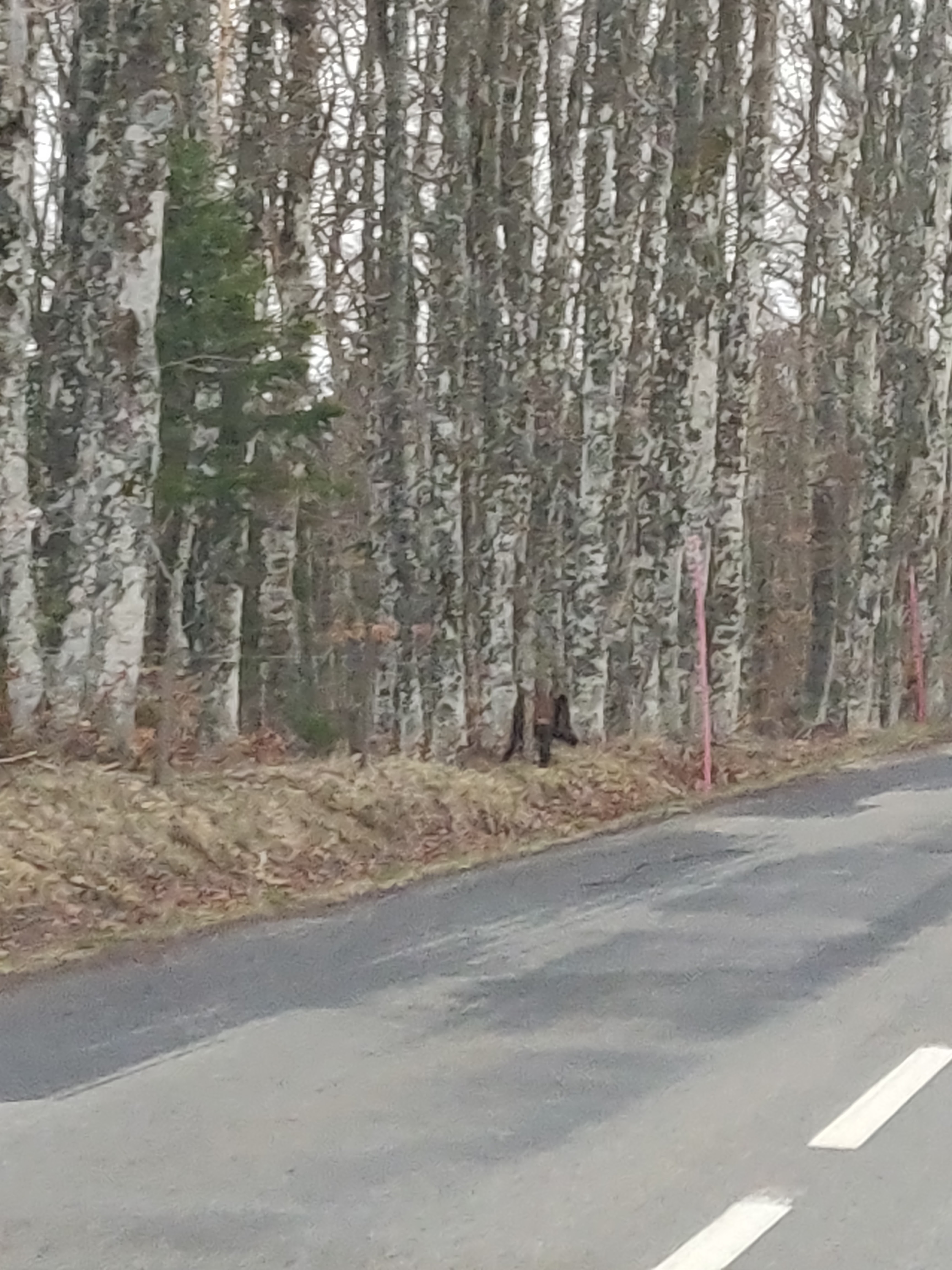 Photo n° 5 de l'avis de Silvia.n fait le 18/04/2019 à 07:45