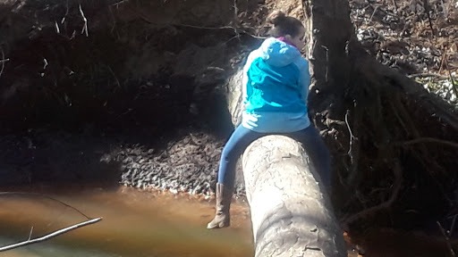 Museum «Barclay Farmstead Museum», reviews and photos, 209 Barclay Ln, Cherry Hill, NJ 08034, USA