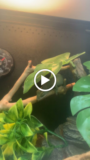 Pet Supply Store «PetSmart», reviews and photos, 20530 E 13 Mile Rd, Roseville, MI 48066, USA