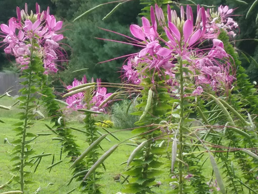 Park «Hart`s Brook Park and Preserve», reviews and photos, 156 Ridge Rd, Hartsdale, NY 10530, USA