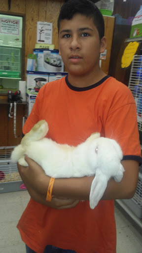 Pet Store «Petland Discounts - New Rochelle», reviews and photos, 216 North Ave, New Rochelle, NY 10801, USA