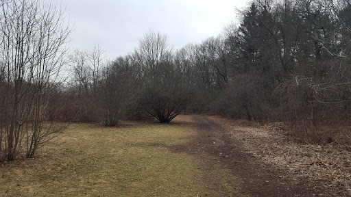 Park «Norumbega Park», reviews and photos, 2285 Commonwealth Avenue, Auburndale, MA 02466, USA