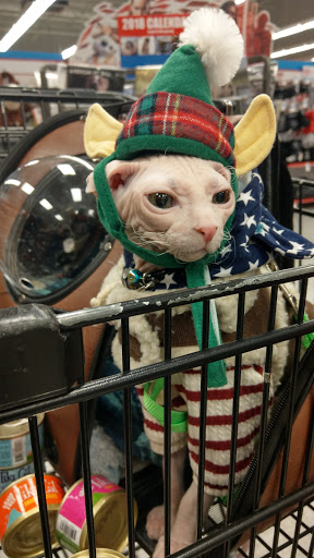 Pet Supply Store «Petco Animal Supplies», reviews and photos, 1111 US-46, Parsippany, NJ 07054, USA