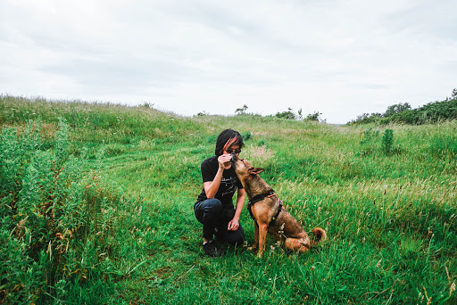 Dog At Heart Dog Training