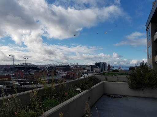 Restaurant «Pacific Rim Center», reviews and photos, 900 S Jackson St # 216, Seattle, WA 98104, USA