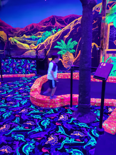 Laser Tag Center «Zap Zone Glo-Golf», reviews and photos, 41953 Ford Rd, Canton, MI 48187, USA