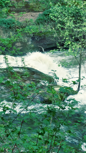 American Football Field «Doc Harris Stadium», reviews and photos, 1125 NE 22nd Ave, Camas, WA 98607, USA